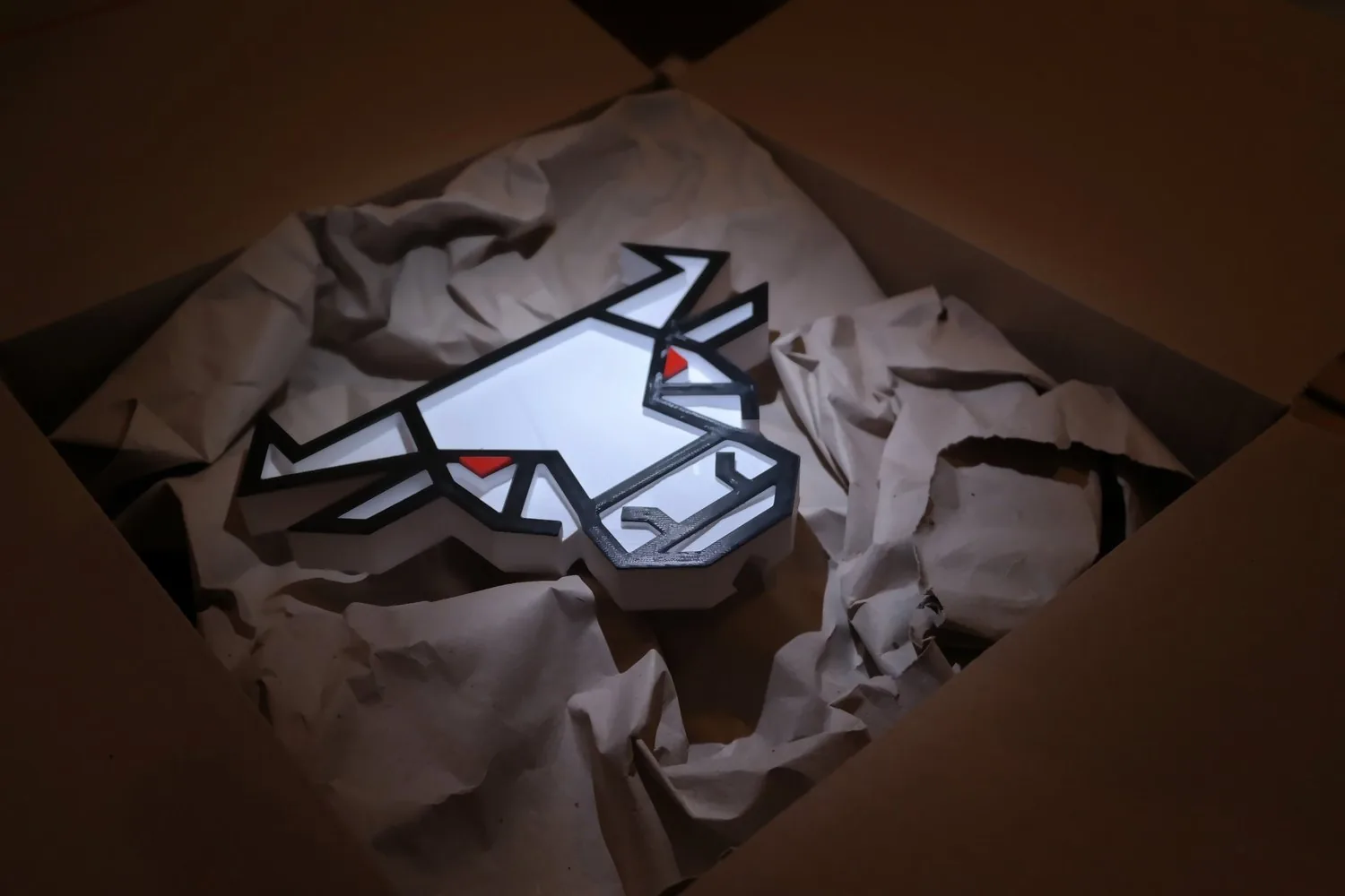 Geöffneter Versandkarton, in Papier gepolstert, obenauf die BULLSCORE-Box.